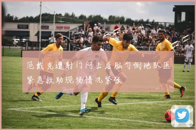 范戴克遭射门闷击后脑勺倒地队医紧急救助现场情况紧张